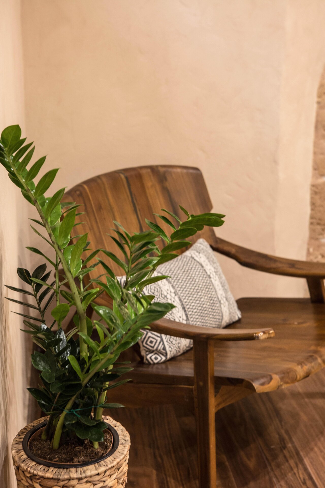 JG Suites on Instagram